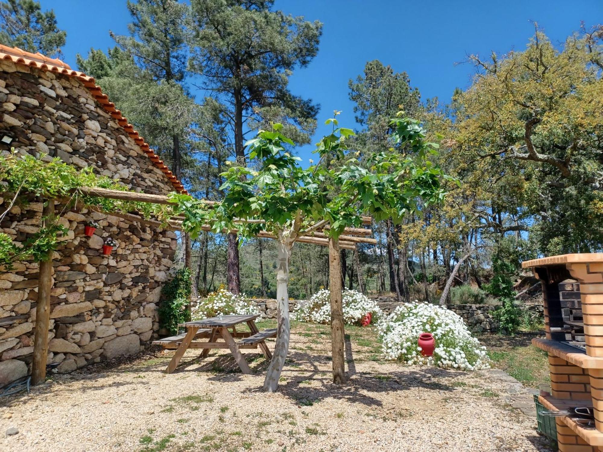 Casa Do Feitor - Douro - Quinta Da Cabrida Villa Sendim  Exterior photo