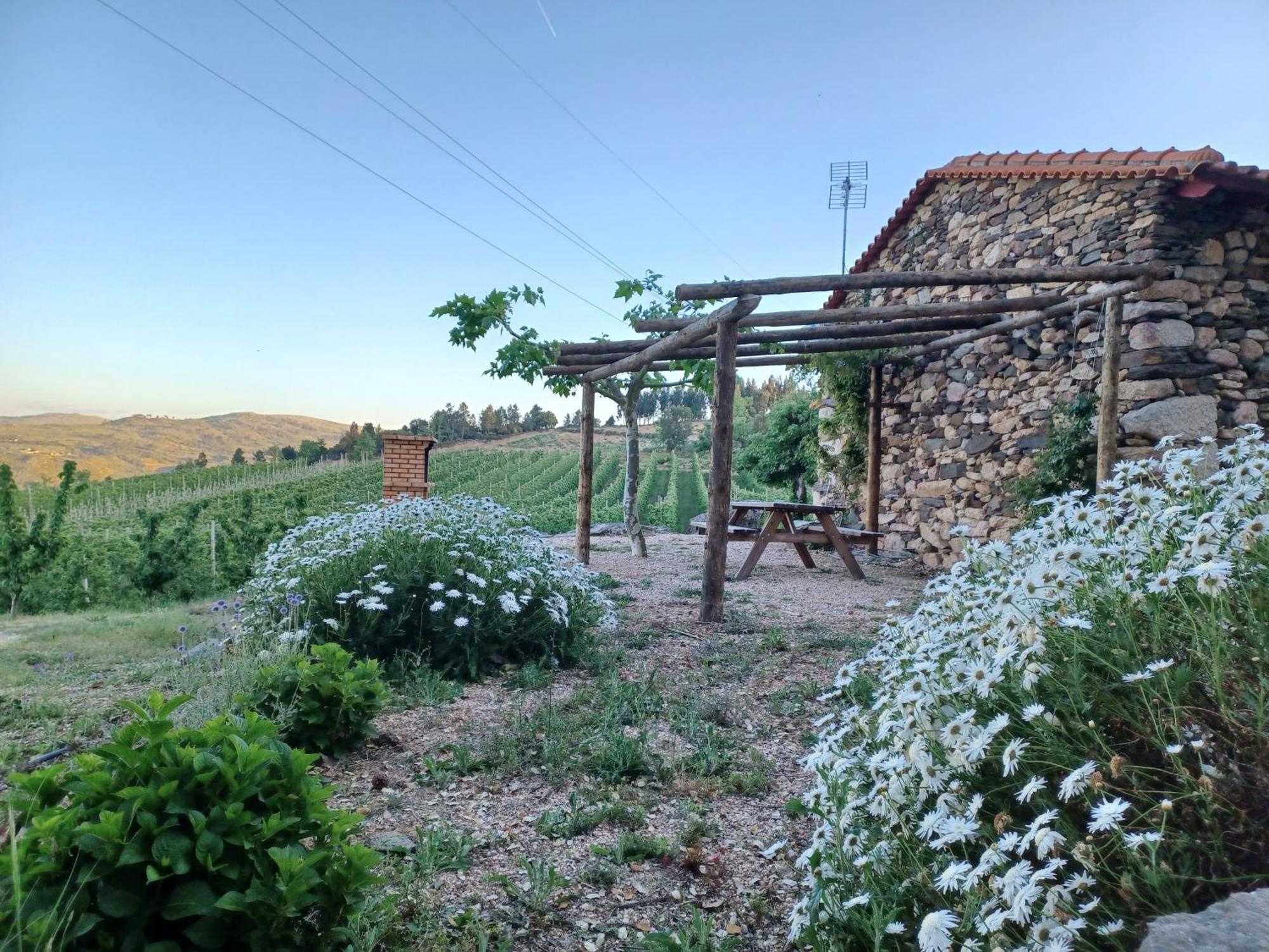 Casa Do Feitor - Douro - Quinta Da Cabrida Villa Sendim  Exterior photo